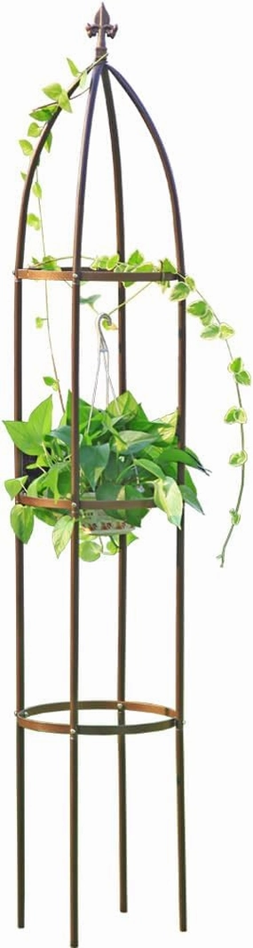 100% Metal Obelisk Garden Trellis 6.3 Feet Tall Sturdy Plant Support for Climbing Vines and Flowers Stands,1pc Upgrade