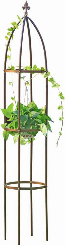 100% Metal Obelisk Garden Trellis 6.3 Feet Tall Sturdy Plant Support for Climbing Vines and Flowers Stands,1pc Upgrade