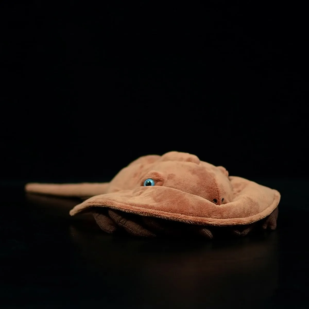 18.1'' Realistic Crab Stuffed Animal Horseshoe Crab Plush Lifelike Soft Stuffed Fish Limulus Tri-Spine Horseshoe Crab Plushie Pillow Doll Toy Kids Gifts