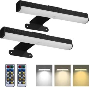 2 PACK Picture Light for Painting Battery with Remote on Wall in Bedroom Living Room, 3Lighting for Wall Art Pictures Posters,Dimmable Timer Set Display Accent Light for Frame Dart Gallery Portrait