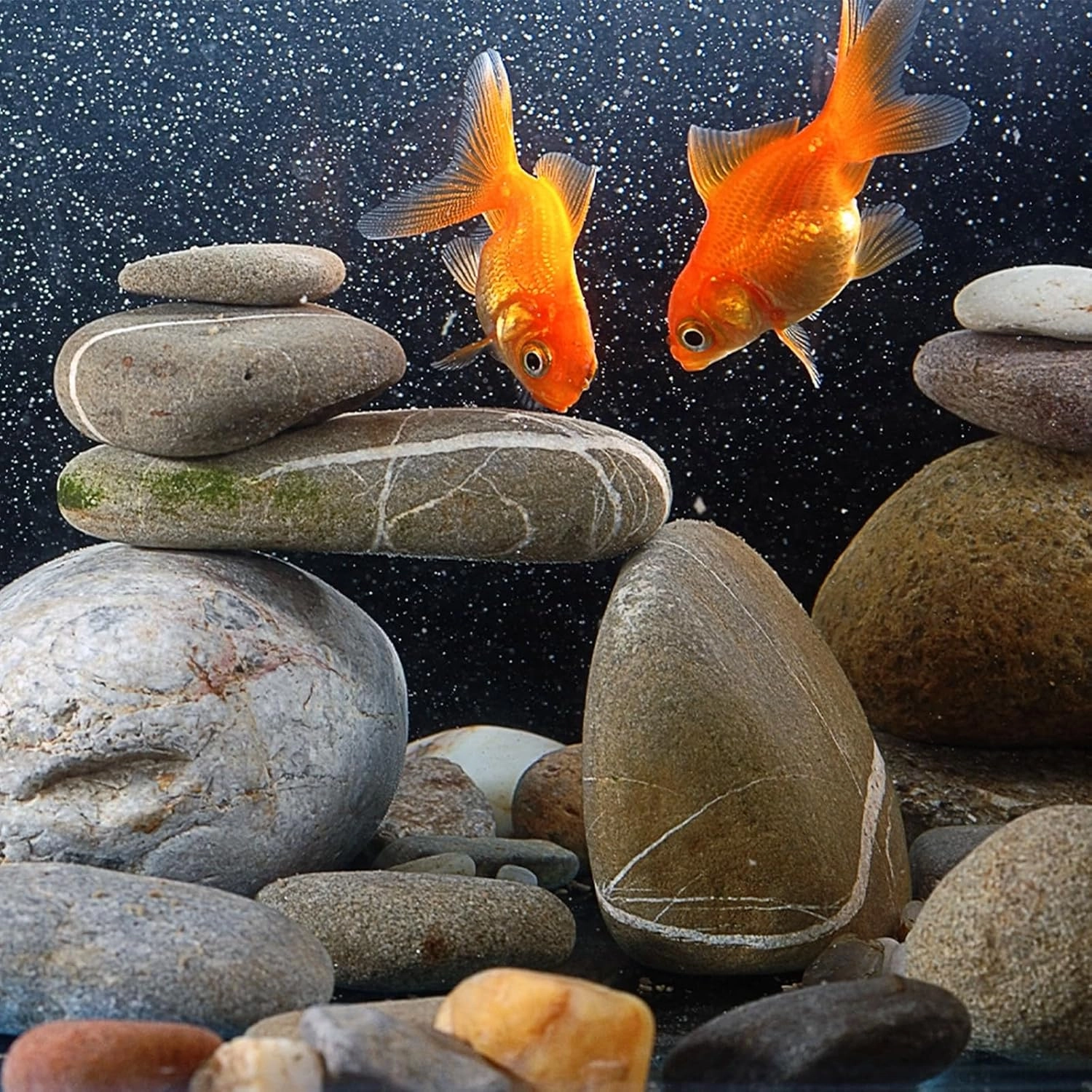 20 lbs River Rocks for Landscaping, 2"-3" Decorative Garden Stones for Plants, Flower Pots, Vase, Walkways, Yard, Natural Rocks for Aquarium, Fish Tank