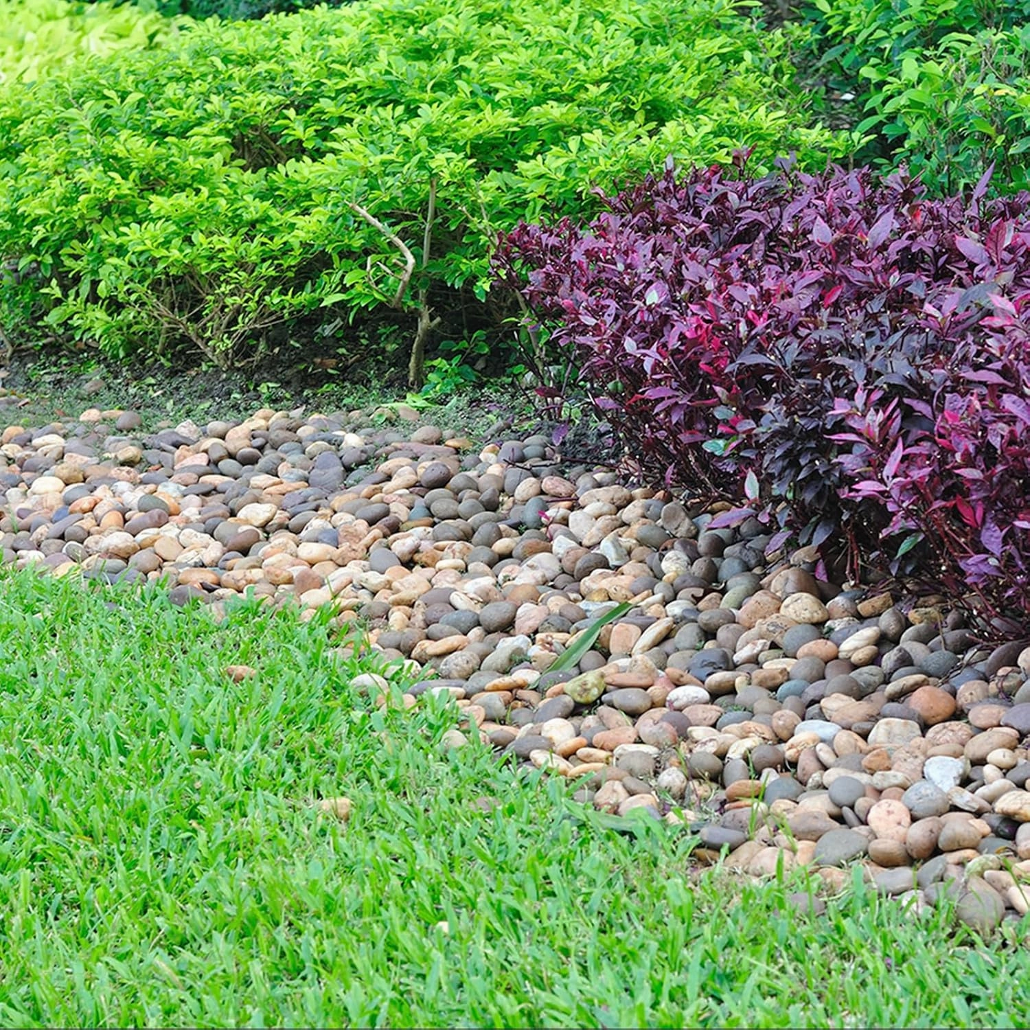20 lbs River Rocks for Landscaping, 2"-3" Decorative Garden Stones for Plants, Flower Pots, Vase, Walkways, Yard, Natural Rocks for Aquarium, Fish Tank