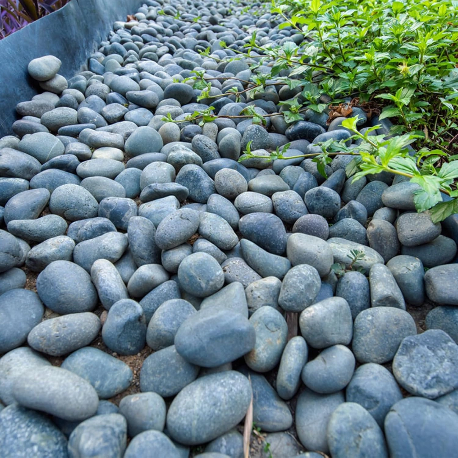 5lbs Black Stones Mexican Beach Pebbles, 2-3 Inch Natural Decorative Black River Rocks for Outdoor Landscaping, Aquarium Garden Walkways Paving Plant Rocks Fountain Painting Rocks