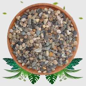 5lbs Coarse Sand Stone - Succulents and Cactus Rocks, Decorative Gravel for Plants and Vases Fillers，Terrarium, Fairy Gardening, Natural Stone Top Dressing for Potted Plants.