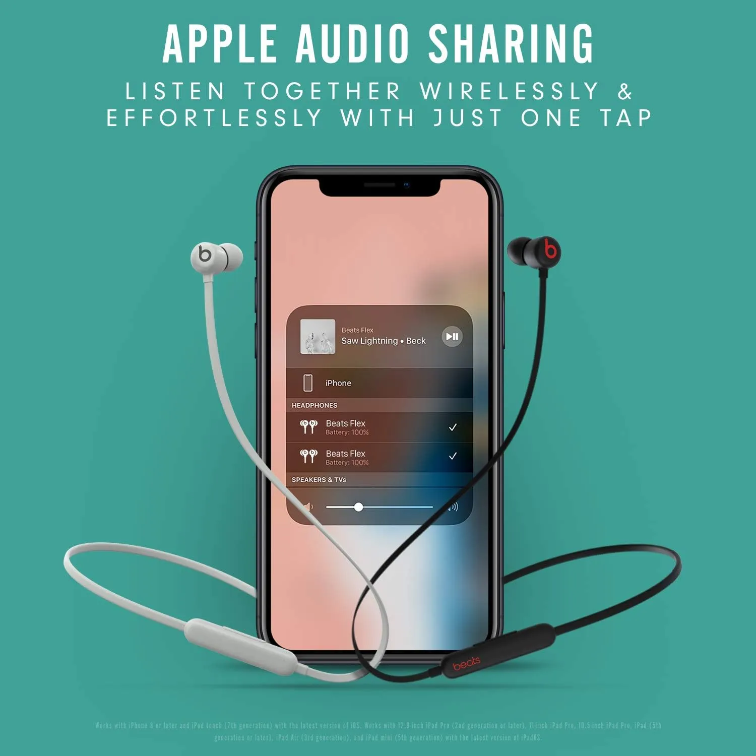 Beats Flex with Apple 20W USB-C Power Adapter - Smoke Gray