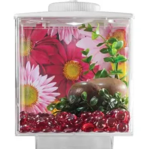 Betta Cube With Led Light