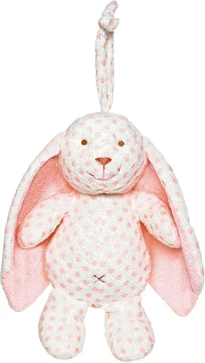 Big Ears Musical Plush | Bunny