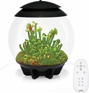 biOrb AIR 30, Automated Acrylic Terrarium for Desert or Tropical Plants, Black