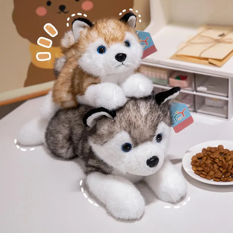 Cute Husky Plush Toy