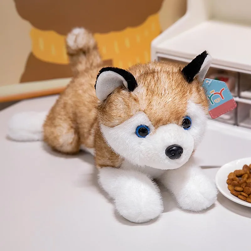 Cute Husky Plush Toy