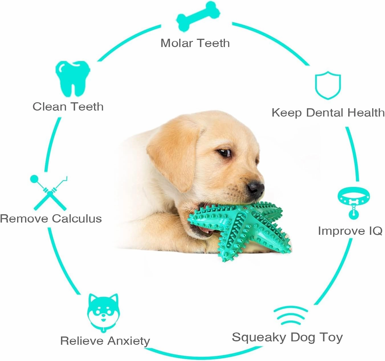 Dog Chew Toys for Aggressive-Chewers - Indestructible Dog Toy for Aggressive Chewer，Tough Chew Toys for Dogs （Rubber Blue-Starfish）