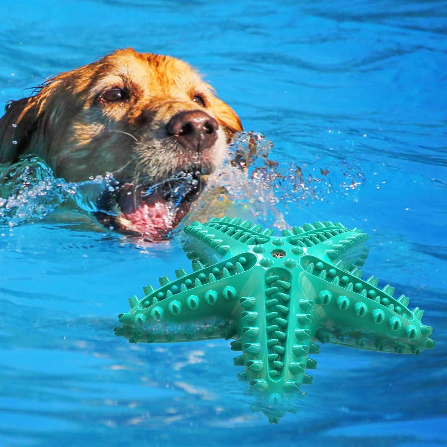 Dog Chew Toys for Aggressive-Chewers - Indestructible Dog Toy for Aggressive Chewer，Tough Chew Toys for Dogs （Rubber Blue-Starfish）