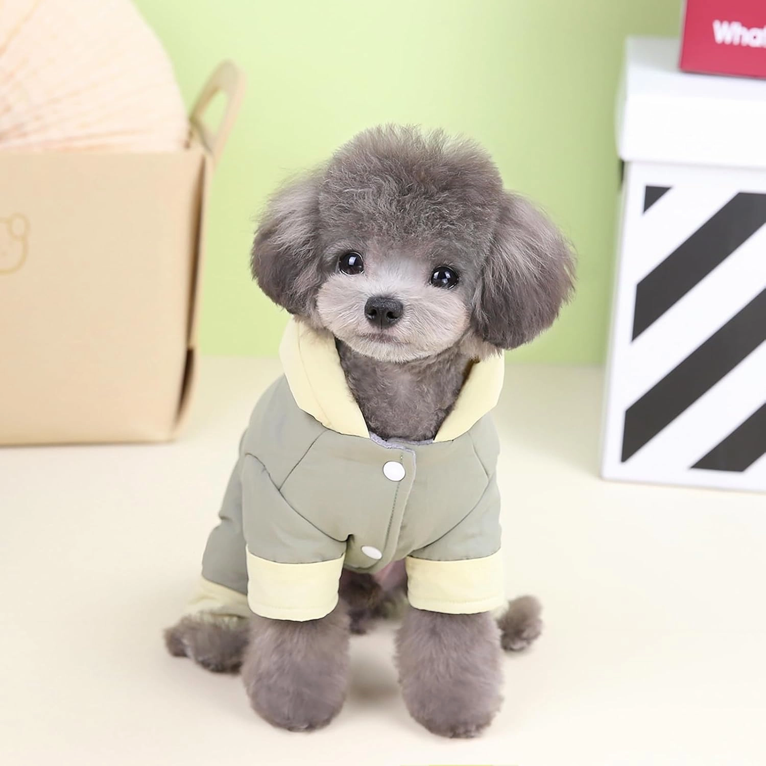 Dog Coat Windproof Jacket Cold Weather Coat 4 Legs Warm Dog Jumpsuit Winter Thick Coat Snow Proof Clothes Cotton Dog Coat for Small Dog Medium Dog Cat Grey L