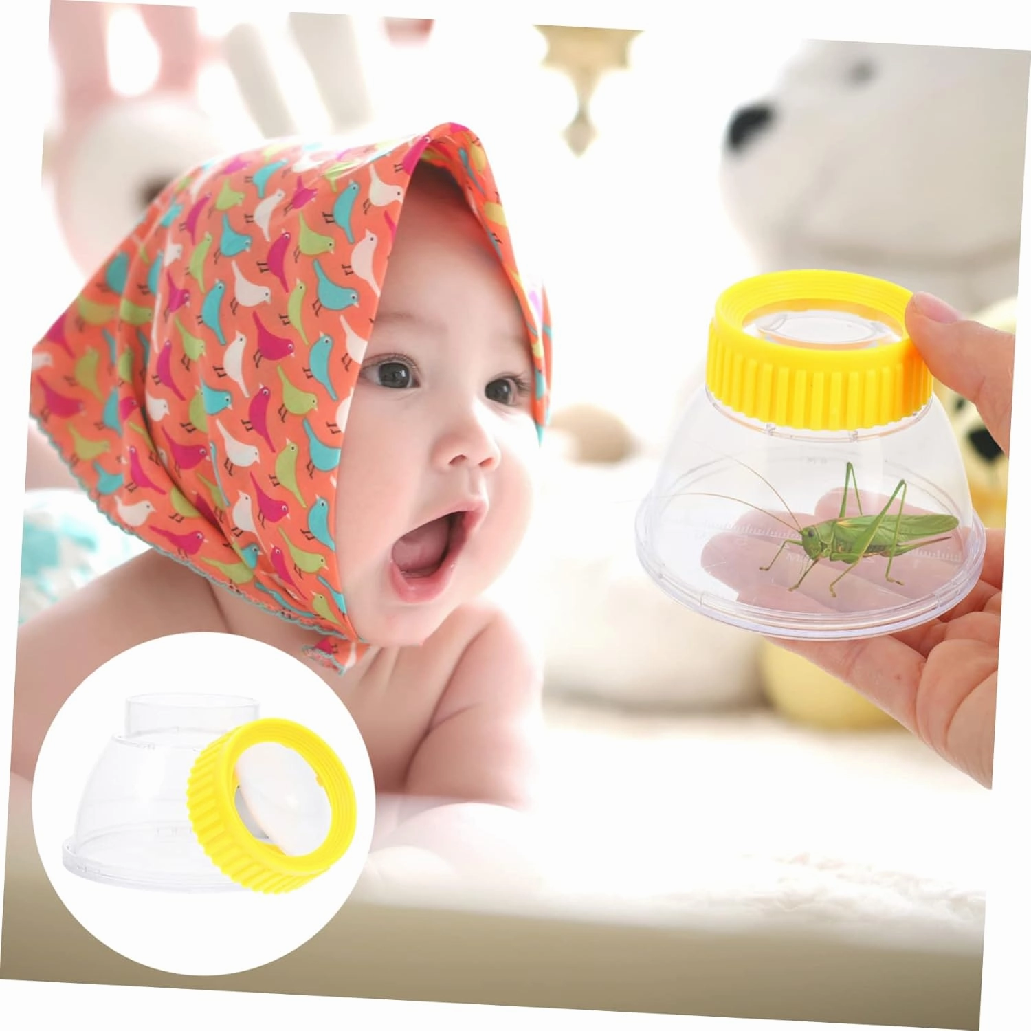 FAVOMOTO 4pcs Insect Observation Box Science Exploration Kit for Boys and Girls Compact Lightweight Insect Viewer for