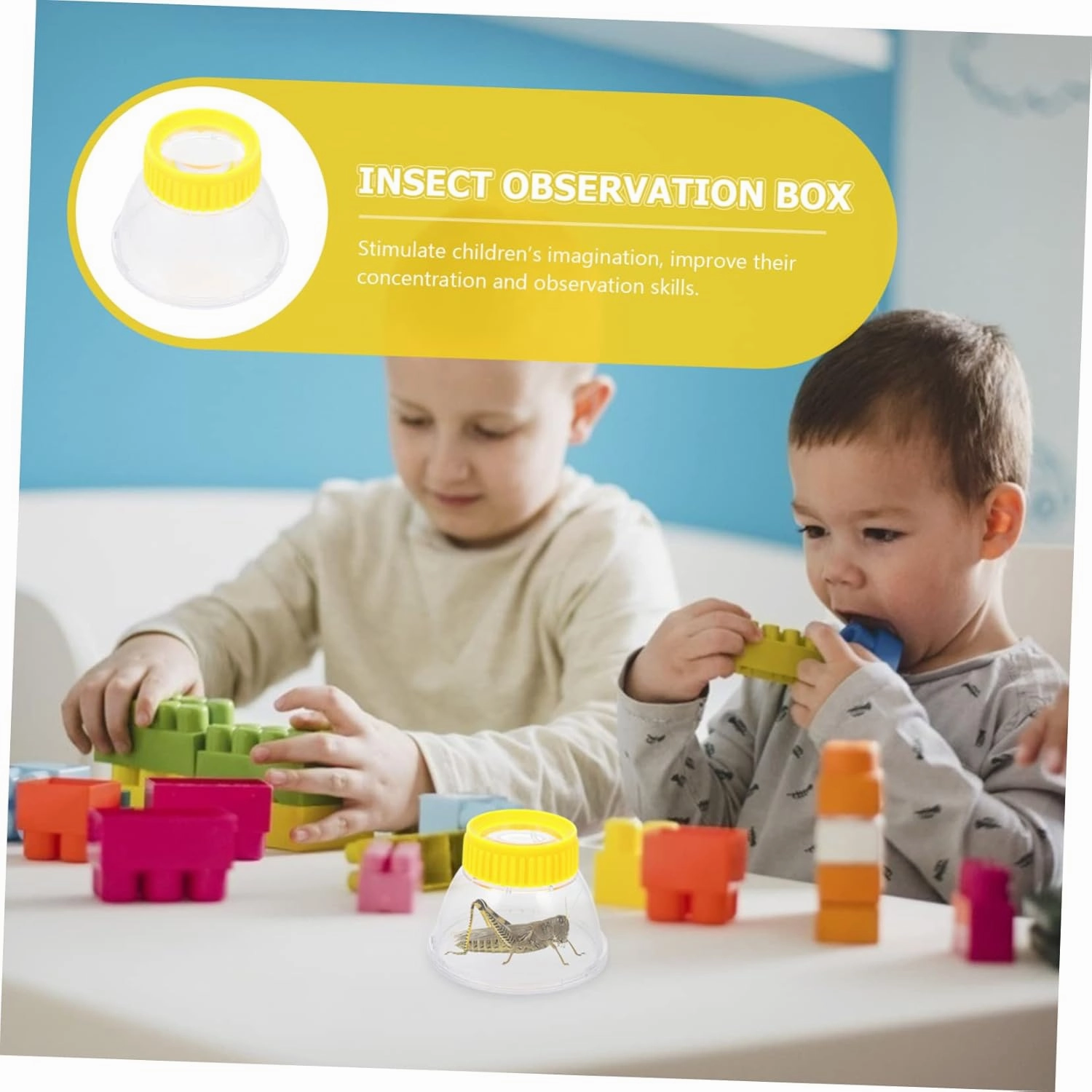 FAVOMOTO 4pcs Insect Observation Box Science Exploration Kit for Boys and Girls Compact Lightweight Insect Viewer for