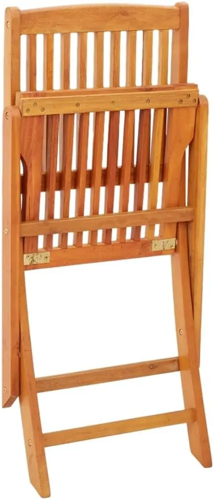 Folding Patio Chairs Set 2 Pieces Solid Eucalyptus Wood Outdoor Chairs Modern Folding Patio Furniture with Oil Finish for Garden, Terrace, and Balcony Use