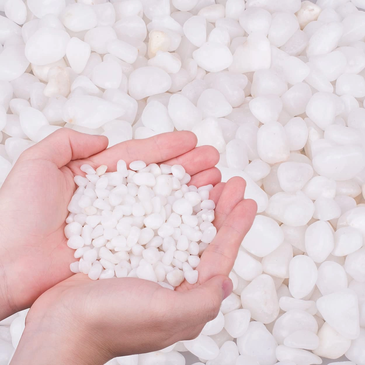 HOT SEAL 6.0 LB White Polished Pebbles 3/8", Natural Decorative Smooth River Rocks, Gravel Size White Small Pebble Stone for Succulent, Bonsai, Potted Plants, Landscaping, Fairy Garden, Aquarium