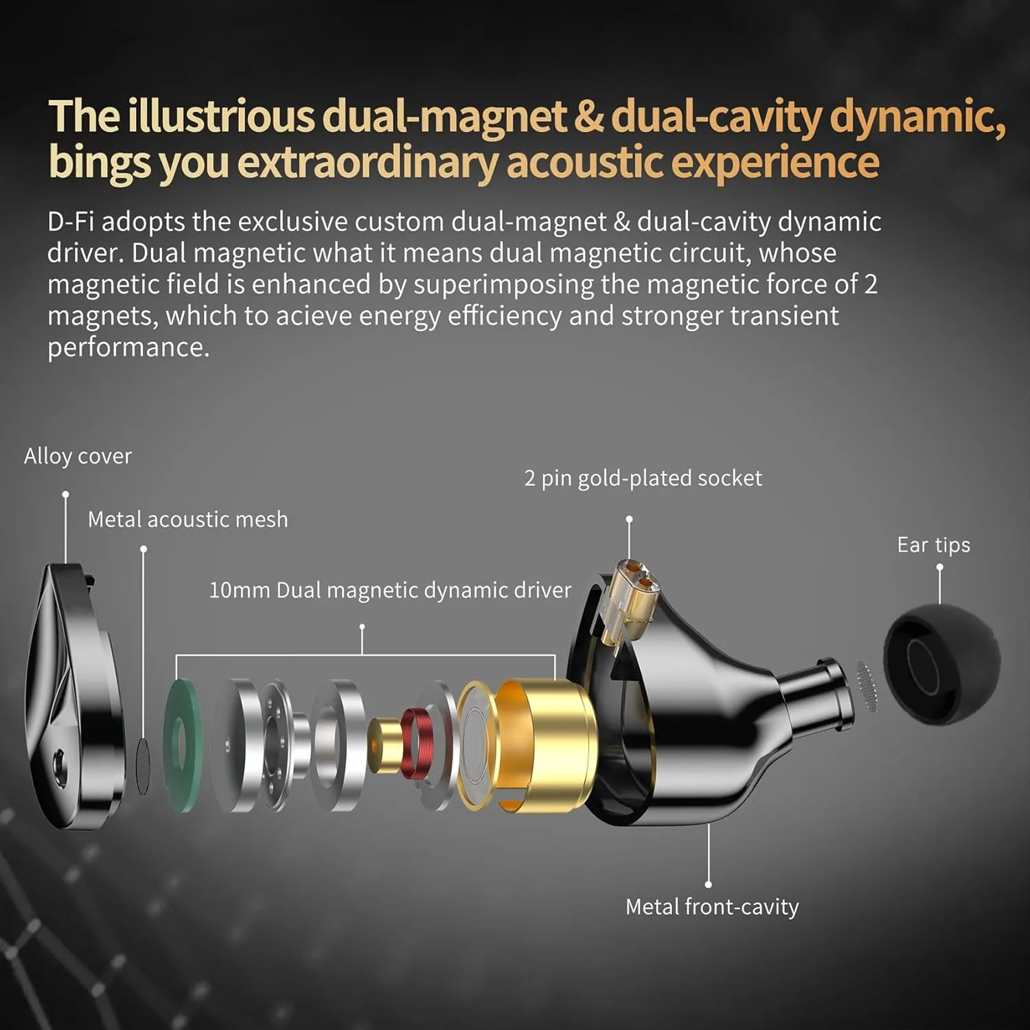 KZ D-Fi in Ear Monitor Headphones High Performance Flagship Dynamic IEMS,Dual-Magnet&Dual-Cavity Dynamic Driver Wired Earbuds with Tuneful Bass Gaming Earbuds for Musicians Singers(Standard Version)