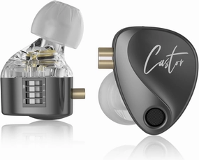 KZ Castor in Ear Monitor, Harman Edition IEM with Dual Dynamic Drivers, Tunable in Ear Headphones Gaming Earbuds with Adjusting Switch, Noise-isolating (Bass Version, with Microphone)
