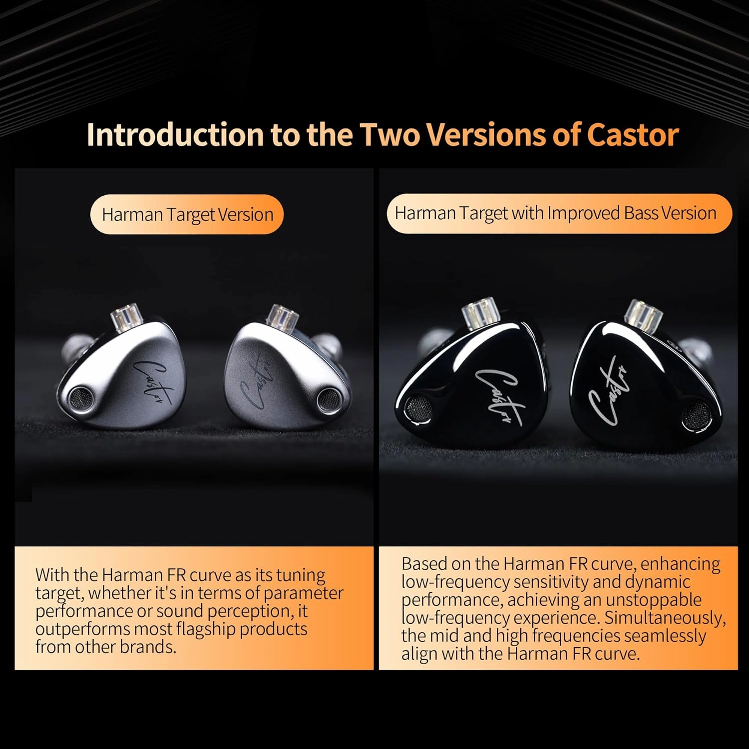 KZ Castor in Ear Monitor, Harman Edition IEM with Dual Dynamic Drivers, Tunable in Ear Headphones Gaming Earbuds with Adjusting Switch, Noise-isolating (Standard Version, with Microphone)