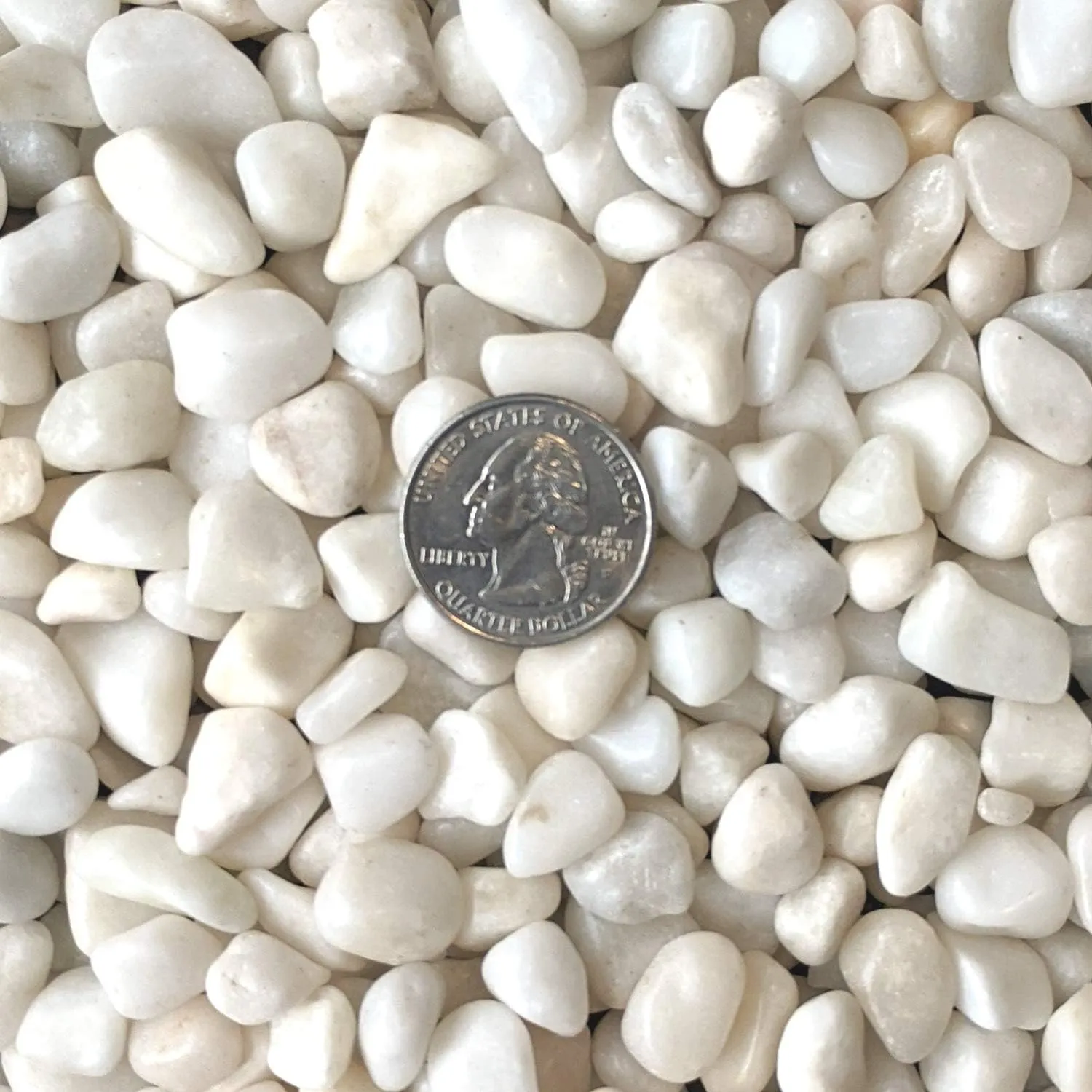 Midwest Hearth Decorative Polished White Pebbles 3/8" Gravel Size (5-lb Bag)
