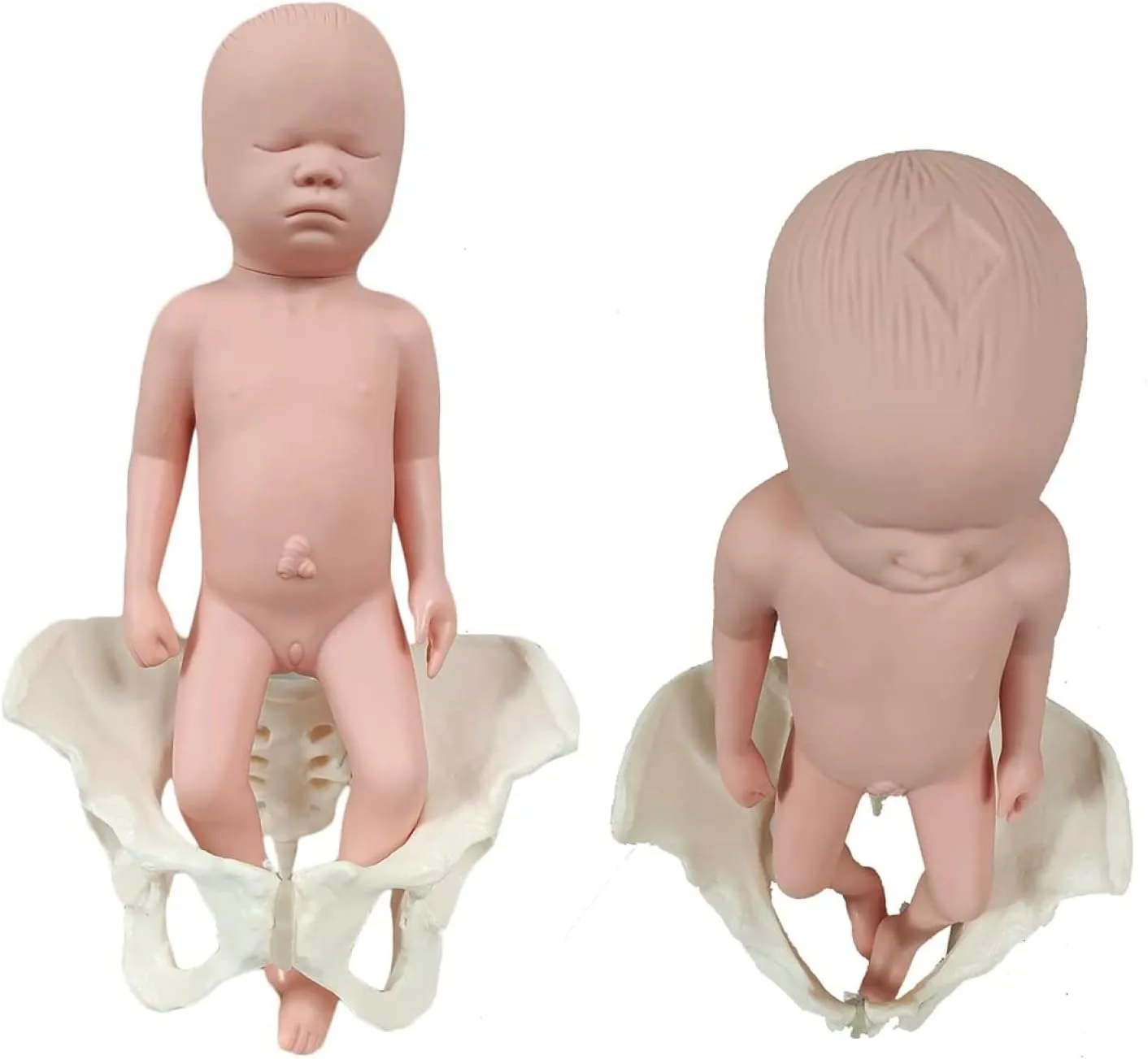 Midwifery Training Model, Female Pelvis Silicone Doll Model with Baby and Pelvis-Pubic Symphysis, Pelvis Childbirth Gynecology Teaching Anatomy Medical Model for Science Education, Male