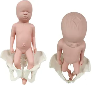 Midwifery Training Model, Female Pelvis Silicone Doll Model with Baby and Pelvis-Pubic Symphysis, Pelvis Childbirth Gynecology Teaching Anatomy Medical Model for Science Education, Male