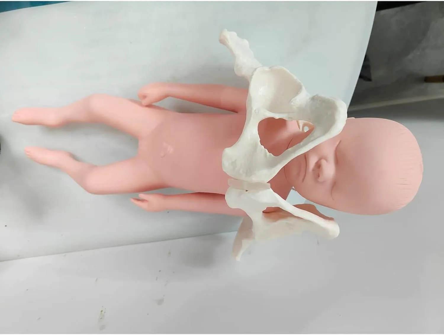 Midwifery Training Model, Female Pelvis Silicone Doll Model with Baby and Pelvis-Pubic Symphysis, Pelvis Childbirth Gynecology Teaching Anatomy Medical Model for Science Education, Male