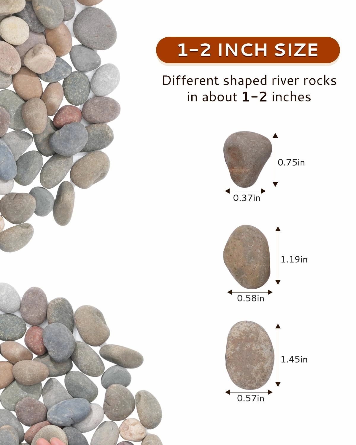 Natural River Rocks-10 lbs of Pebbles and River Stones,1-2 Inch Plant Rocks for Landscaping,Garden Paving,Crafting,Walkways,and Outdoor Decorative Stone,Mexican Beach River Rocks