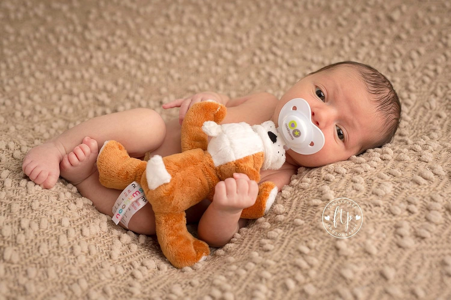 Nookums Paci-Plushies Shakies - Pacifier Holder with Built in Rattle (2 in 1)- Adapts to Name Brand Pacifiers, Suitable for All Ages, Plush Toy Includes Detachable Pacifier (Bull Dog)