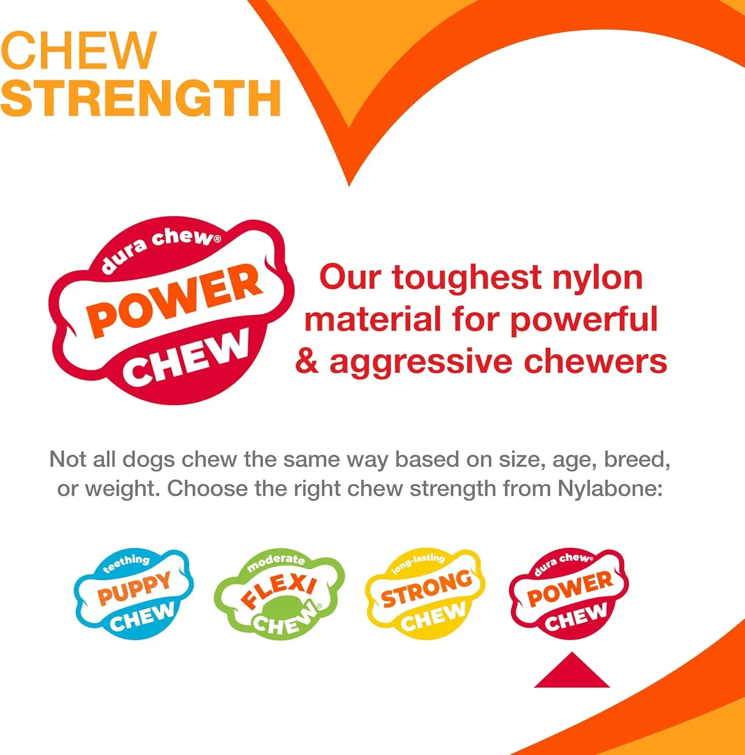 Nylabone Power Chew Toy Bundle, Cute Dog Toys for Aggressive Chewers, Filet Mignon, Cheese, and Bacon Flavors, Small Dogs - Up to 25 lbs, 3 Pack