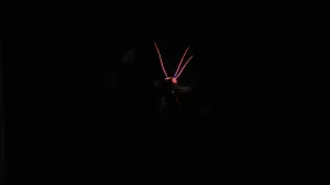 Orange Streamer - One of a Kind  (SC-016)
