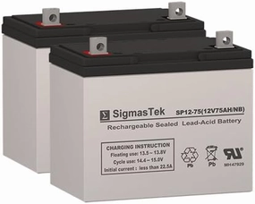 Permobil Playman Wheelchair Deep Cycle Battery 12V 75AH Replacement