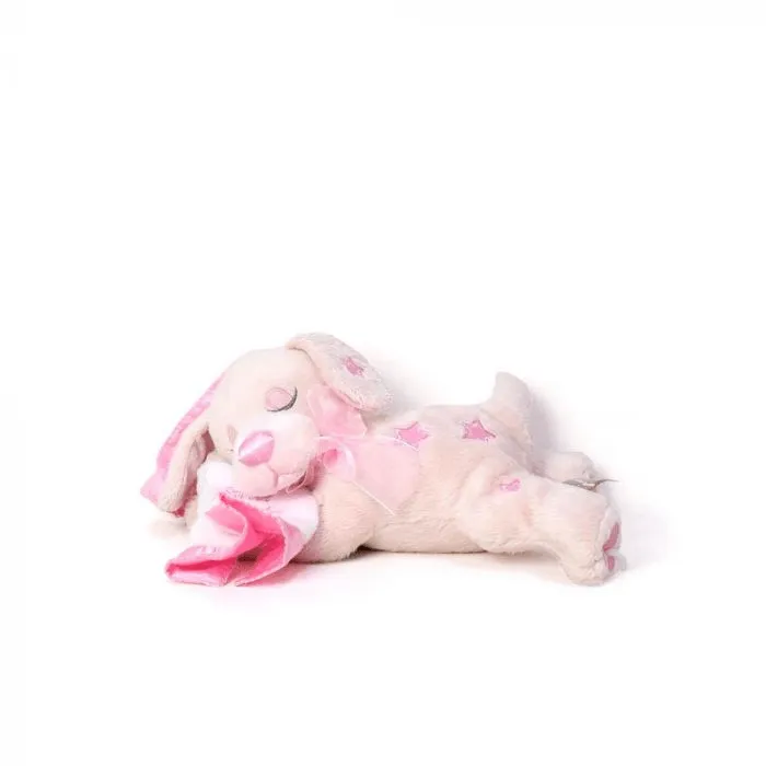Welcome Newborn Baby Girl Gift Basket