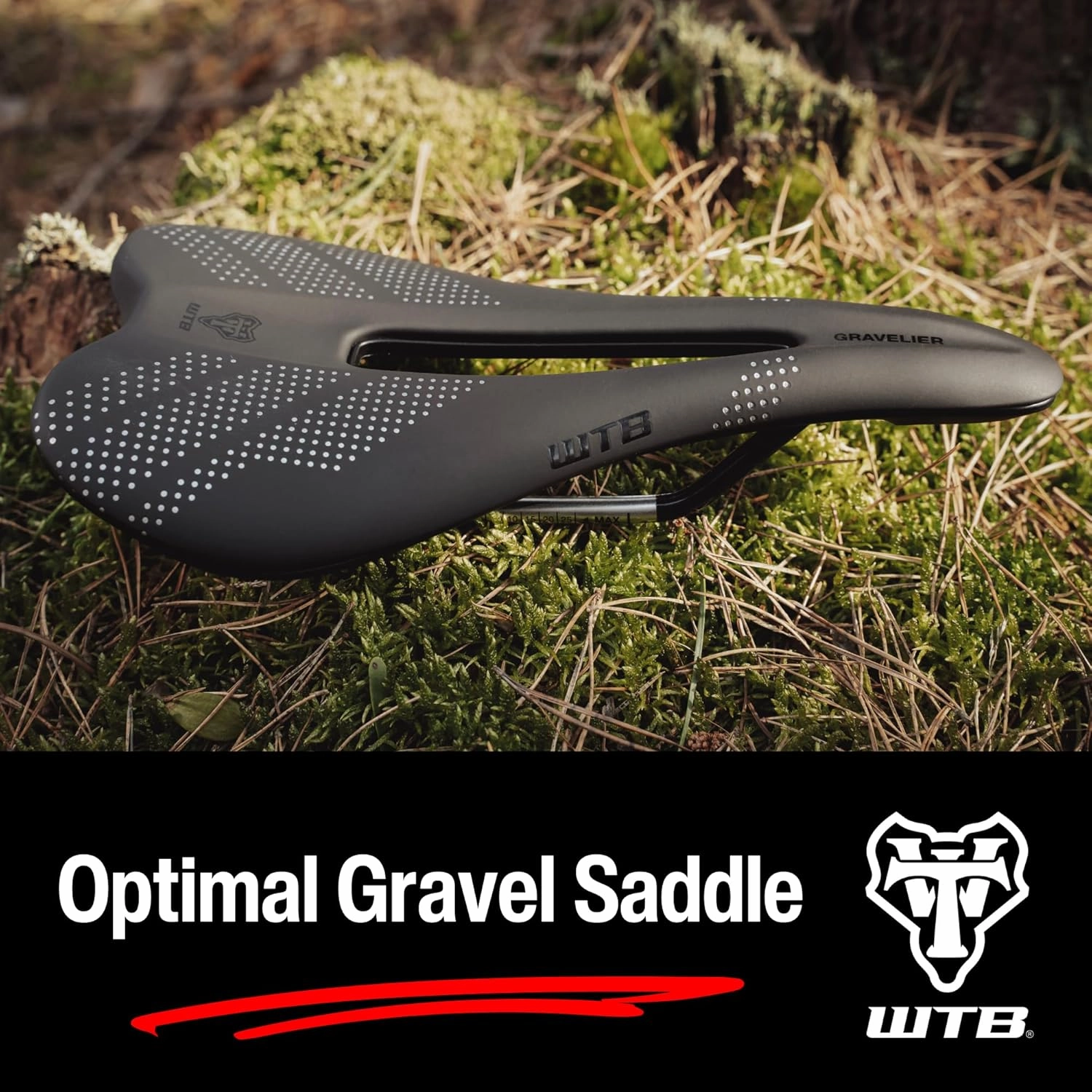 WTB Gravelier Bike Saddle, Flexible Base with Fusion Form Technology, Perineal Relief Cutout for Gravel and Endurance Rides, Available with Stainless Steel, Chromoly, Carbon, or Titanium Rails
